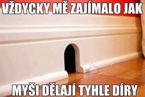 Myš