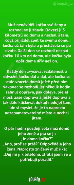 Muž odváží kočku pryč z domu