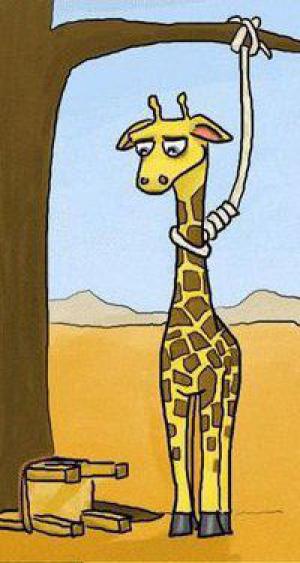 Žirafa, která nemá šťastný den
