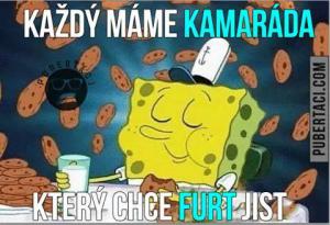 Každý máme kamaráda