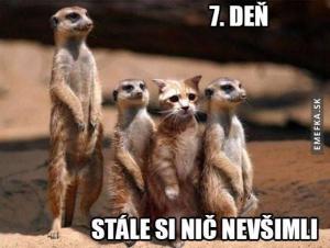 Skrývání
