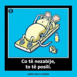 Co tě nezabije, to tě posílí