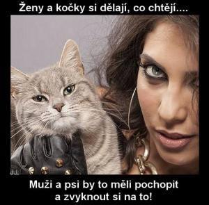 Zvykání
