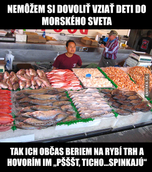 Zvířata