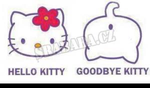 Goodbye Kitty
