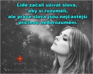 Nedorozumění
