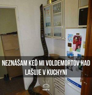 Voldemortův had