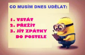 Ukol