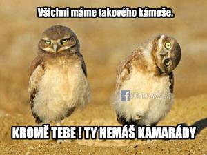 Kromě tebe!