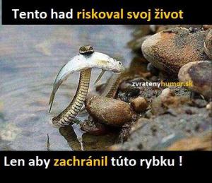 Respekt hadovi! :D