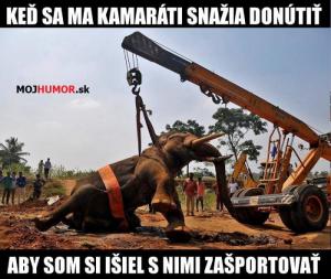 Sport