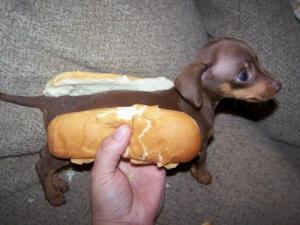 mmmm hot dog