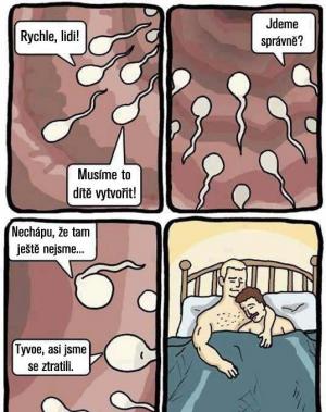 Příběh spermií