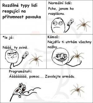 Pavouk