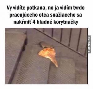 Potkan