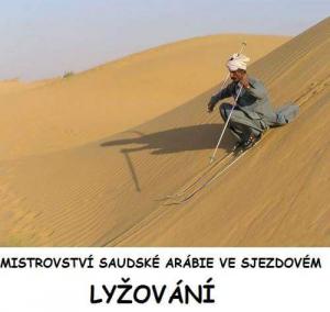 Lyžování