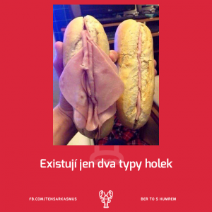 Dva typy holek