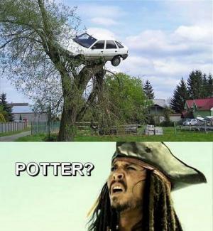 Když uvidíš auto na stromě