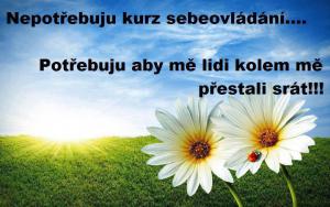 Kurz