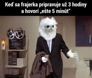 Přítelkyně