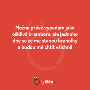 Hranolky