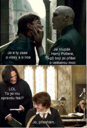 Harry potter a Voldemortem