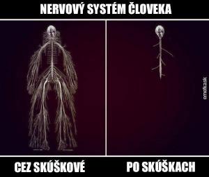 Nervový systém