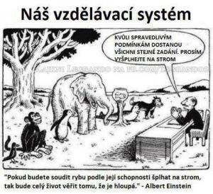 Vzdělávací systém