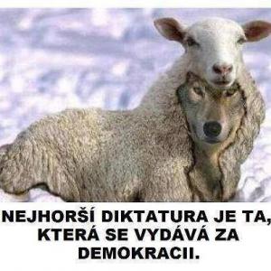 Demokracie