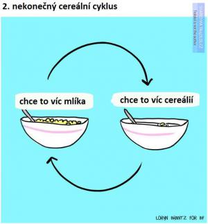 Cereální cyklus