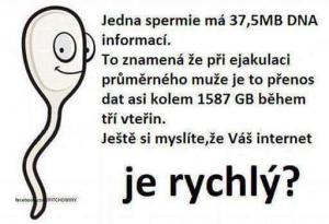 Spermie
