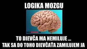 Logika mozku