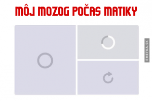 Mozek v matice
