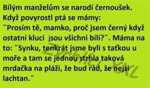 Černoch u bílých v domácnosti