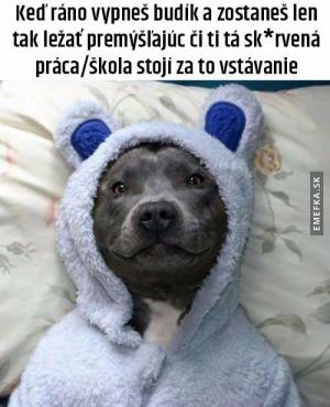 Ranní vstávání
