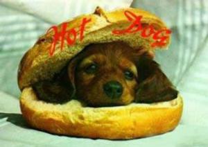 Hot dog!