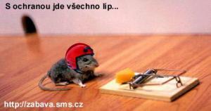 Opatrná myš :)