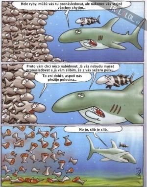 Mizera Žralok