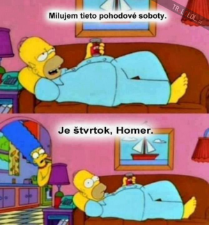 Homer a pohoda