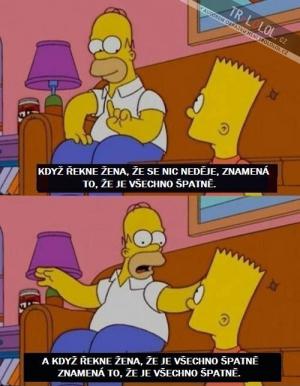 Homer Simpson radí