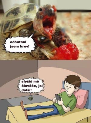 Želví zabiják