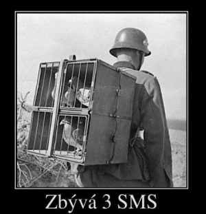 3 SMS