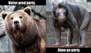 Před a po párty