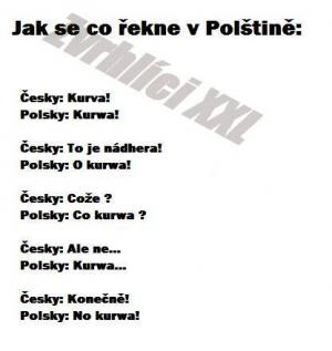 Lekce polštiny