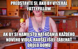 FattyPillow