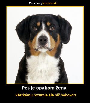 Pes vs žena
