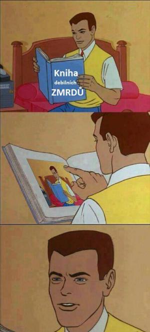 Kniha debilních zmrdů
