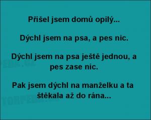 Přišel jsem domů opilý