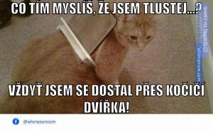 Linie