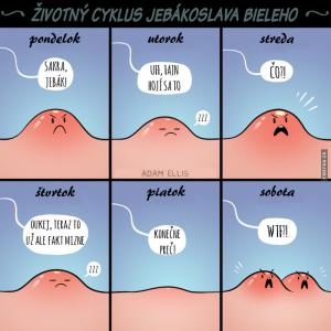 Životní cyklus Jebákoslava Bieleho